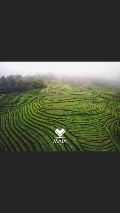Casa Da Calheta Villa Maia  ภายนอก รูปภาพ